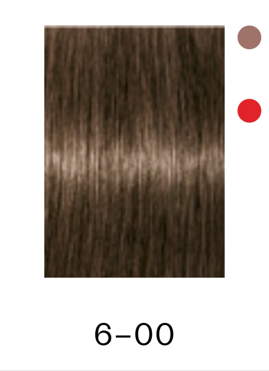 Igora 6-00 - Imagen 2