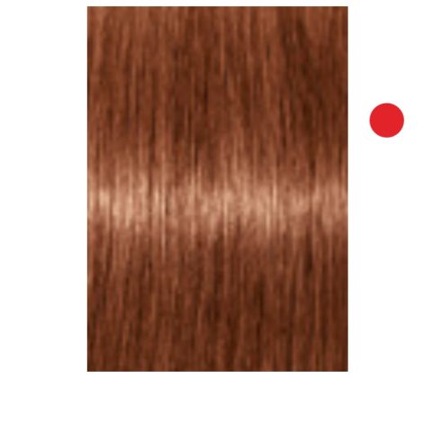 Igora Absolute 7-560