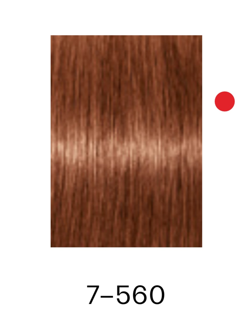 Igora Absolute 7-560