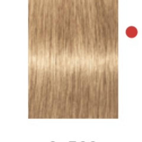 Igora Absolute 9-560