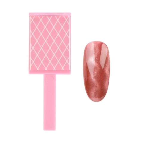 Imán Paleta Diseño