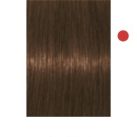 Tinte Igora Absolute 7-460