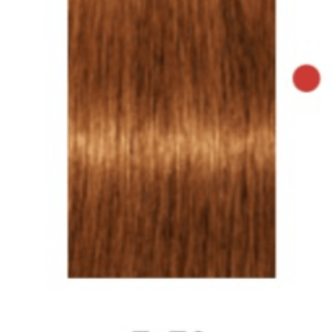 Tinte Igora Absolute 7-70