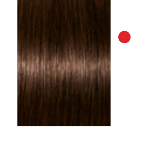 Tintura Igora Absolute 4-60