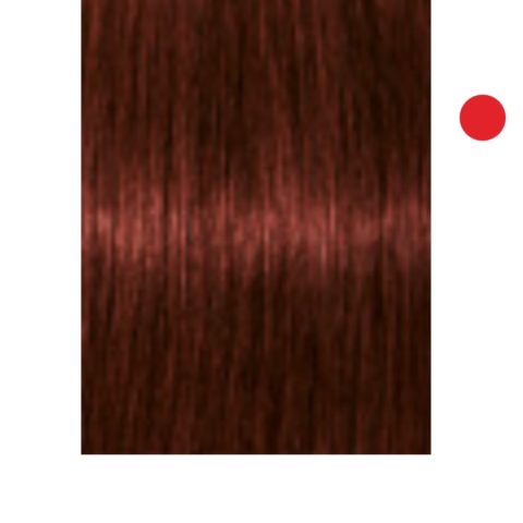 Tintura Igora Absolute 5-80