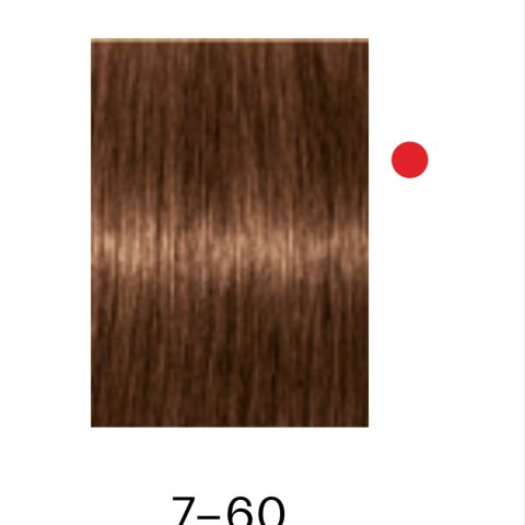 Tintura Igora Absolute 7-60